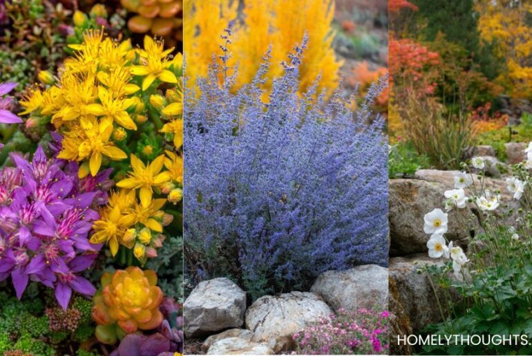 15 Perennials to Grow This Fall
