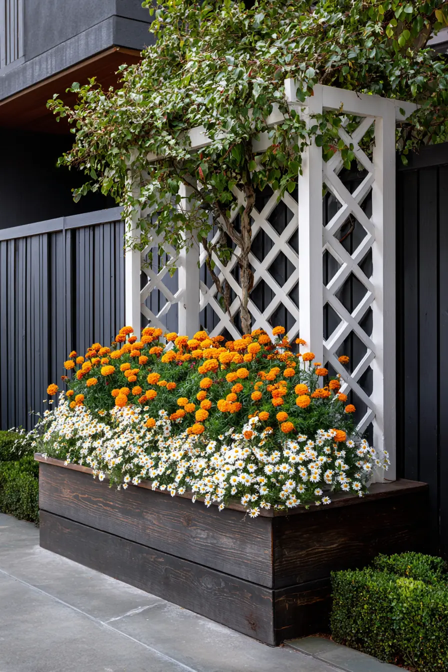 Rustic Raised Bed with Marigolds