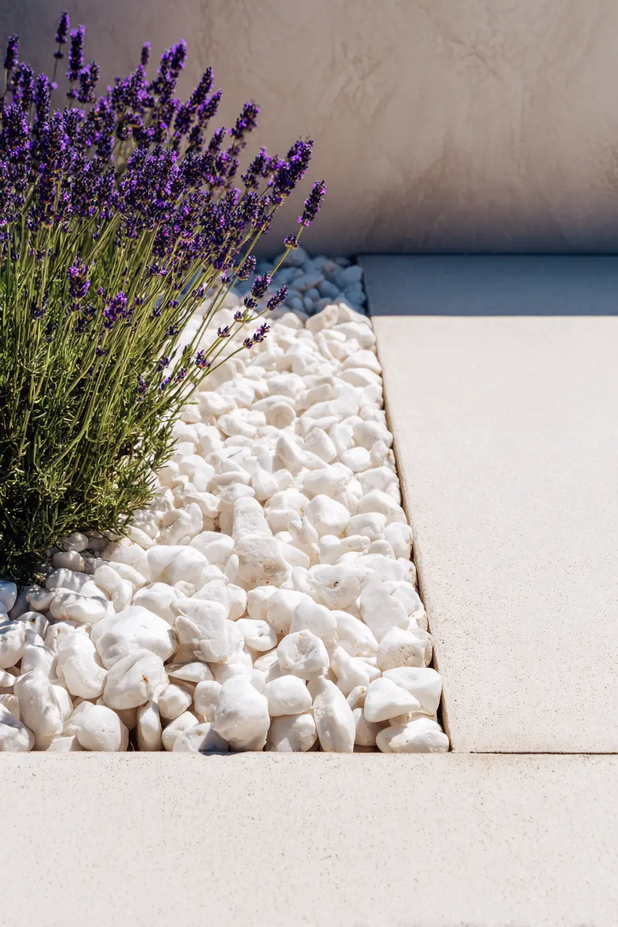 Concrete Edging with Lavender Planting