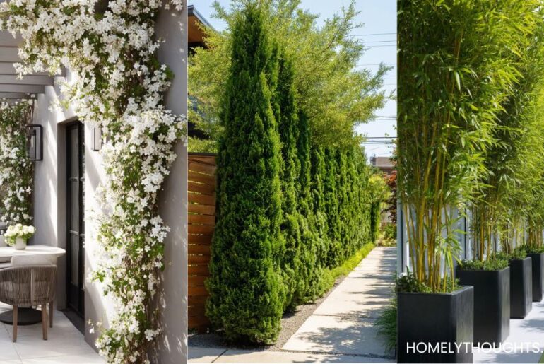 20+ Privacy Plants to Finally Create Your Private Yard!