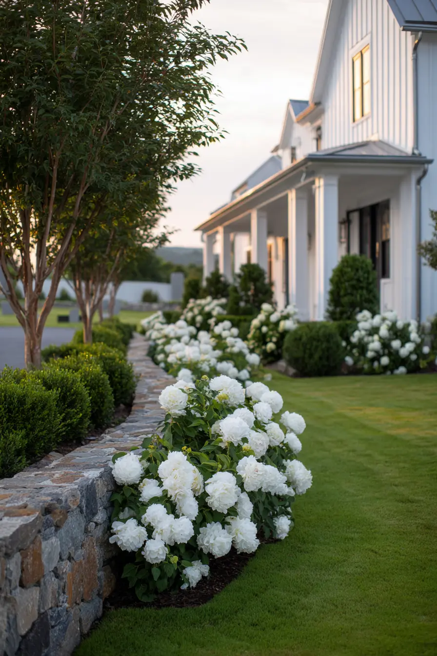 Elegant White Peony Flower Bed Edging
