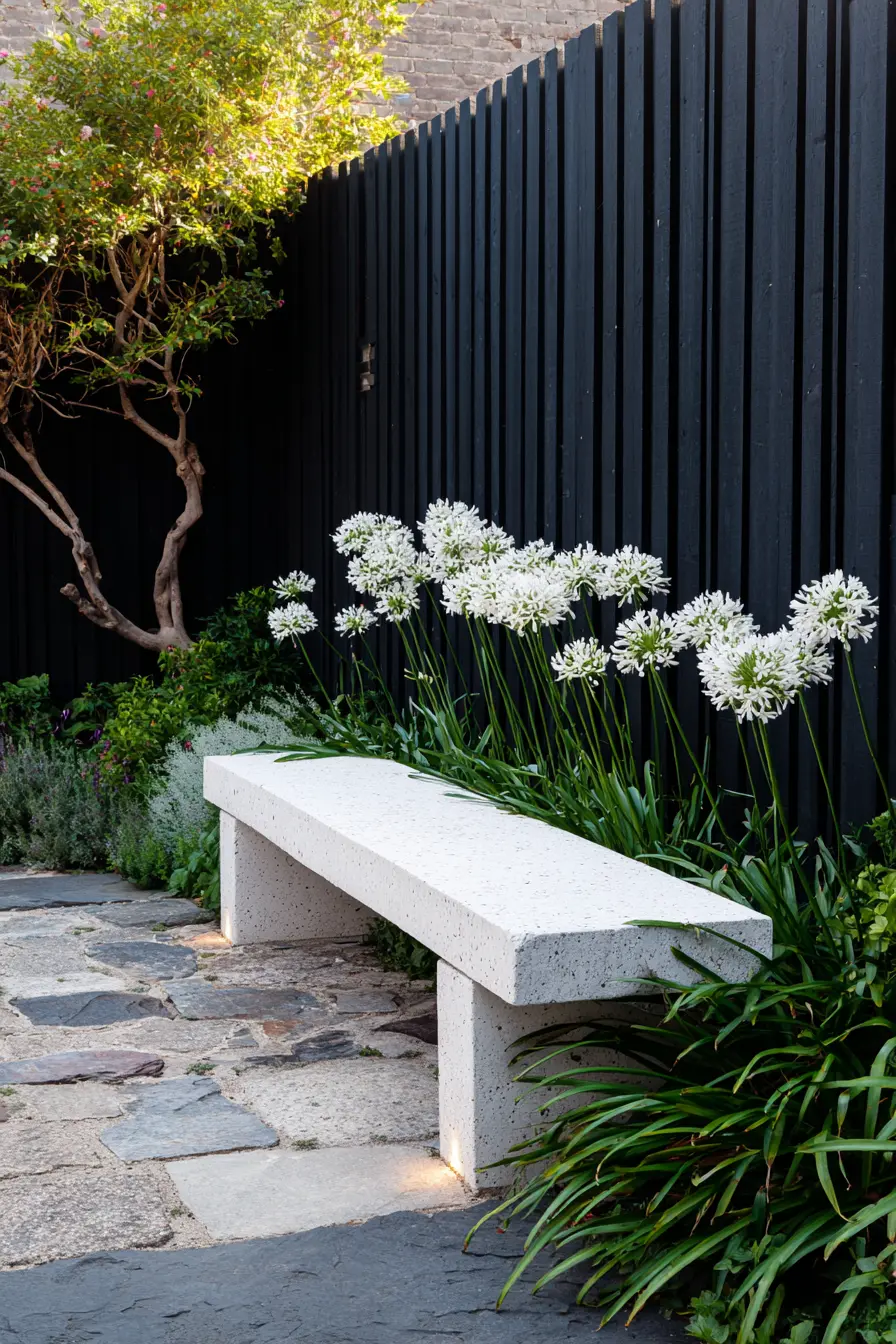 Modern Minimalist Garden with Agapanthus