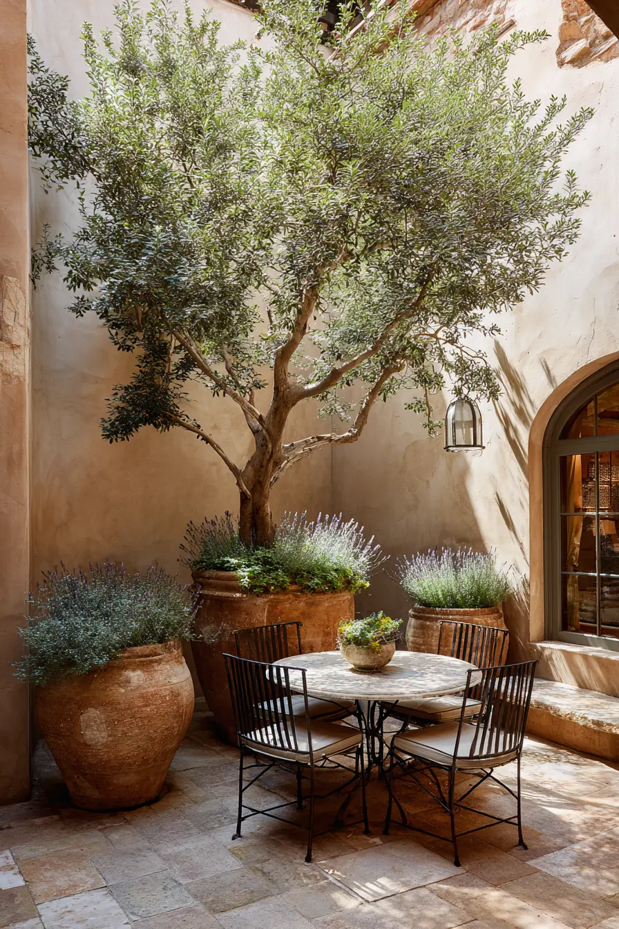 Olive Tree and Lavender Patio Retreat