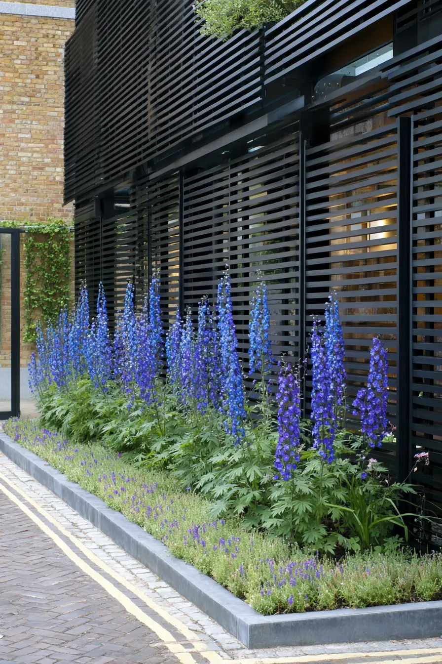 Contemporary Raised Bed with Blue Delphiniums