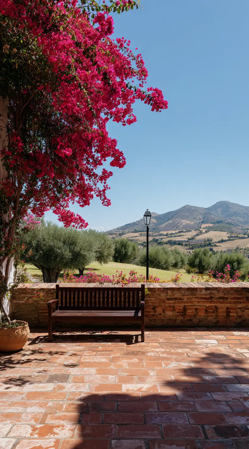 Terracotta Patio With Mediterranean Vibes