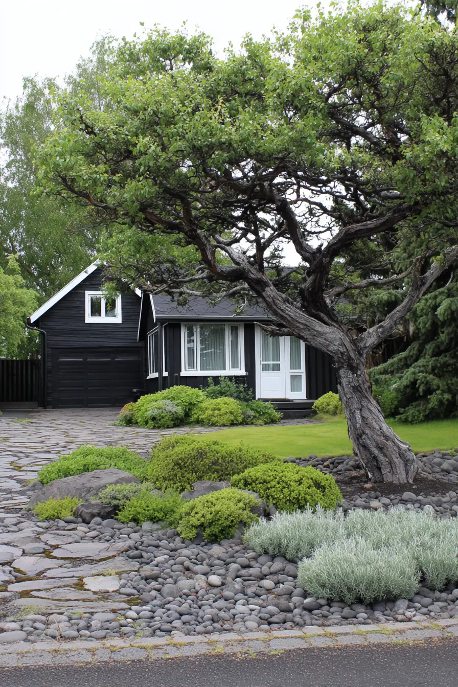 Rock Garden with Perennial Groundcovers