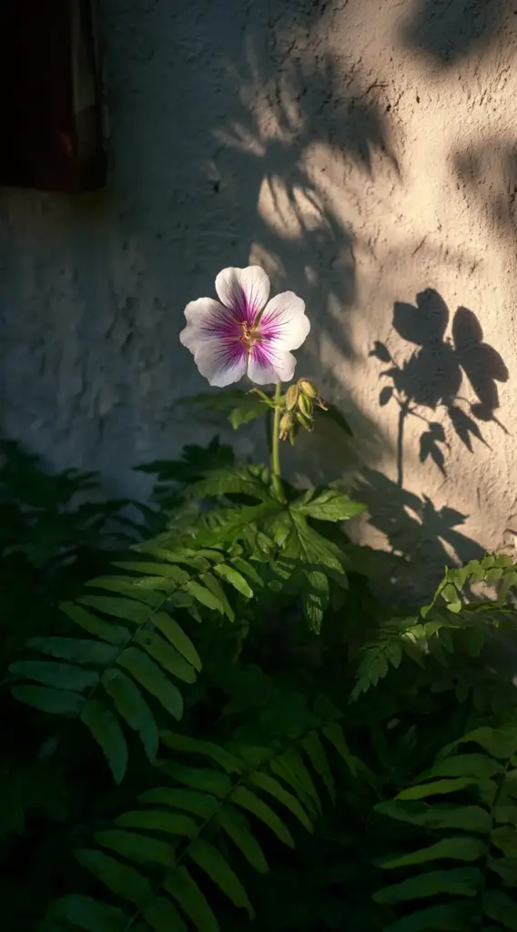 Shady Corner Bloom Bed