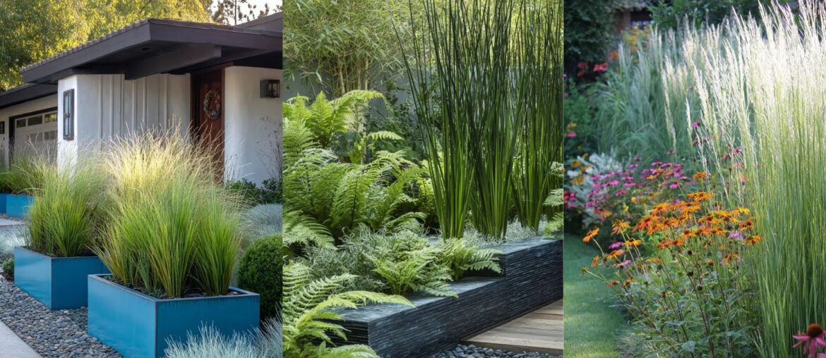38 Garden Borders With Grasses That Add Movement to Borders
