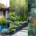 38 Garden Borders With Grasses That Add Movement to Borders