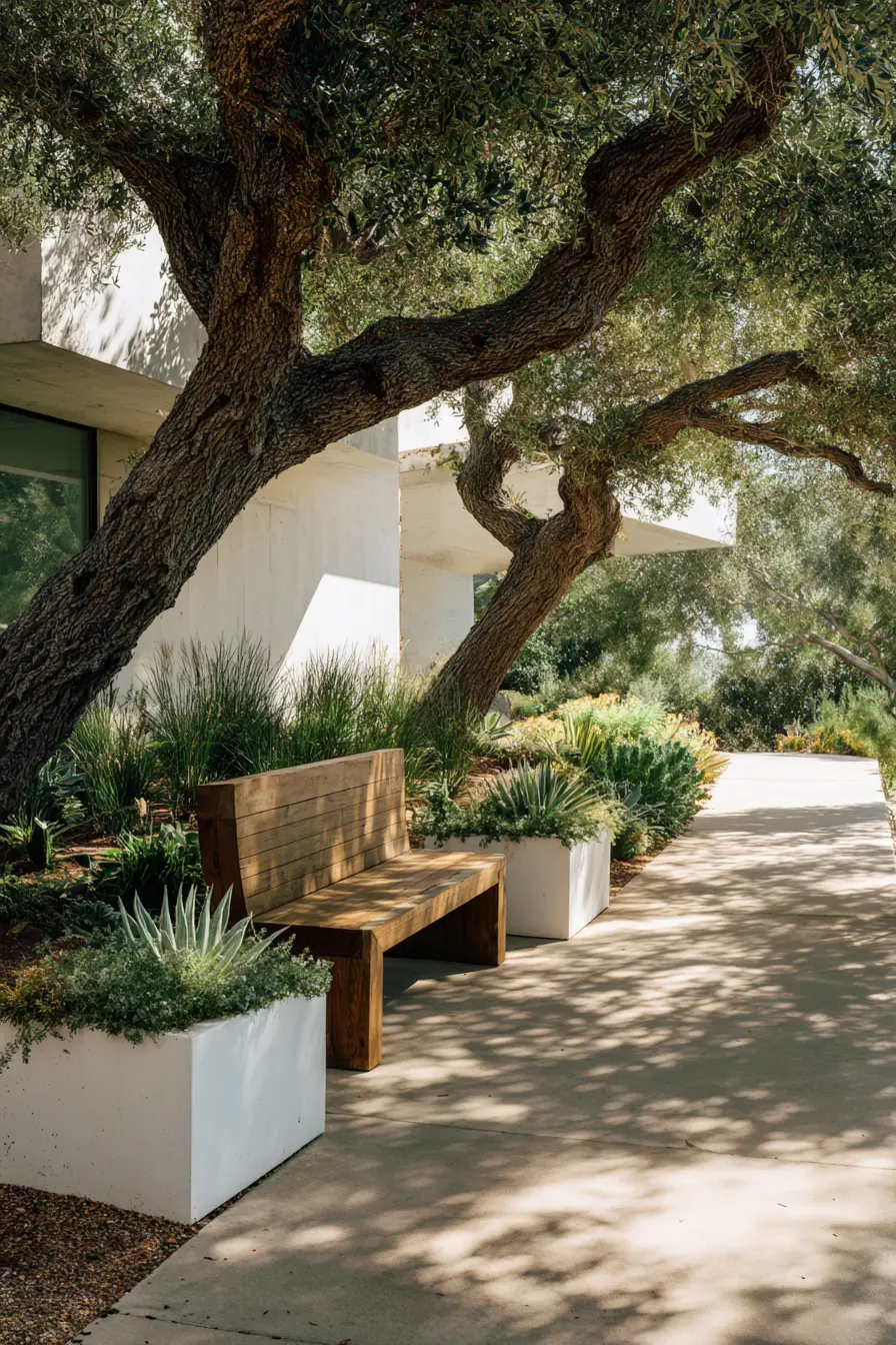 Sleek Succulent Garden Design With Seating Area