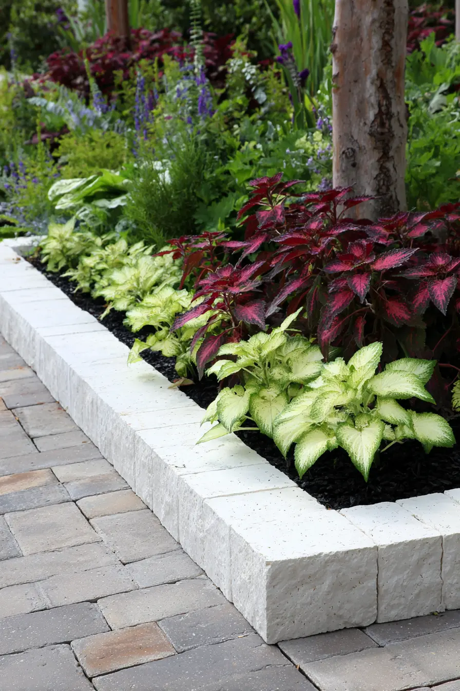 Contemporary Coleus Border with Stone Edging