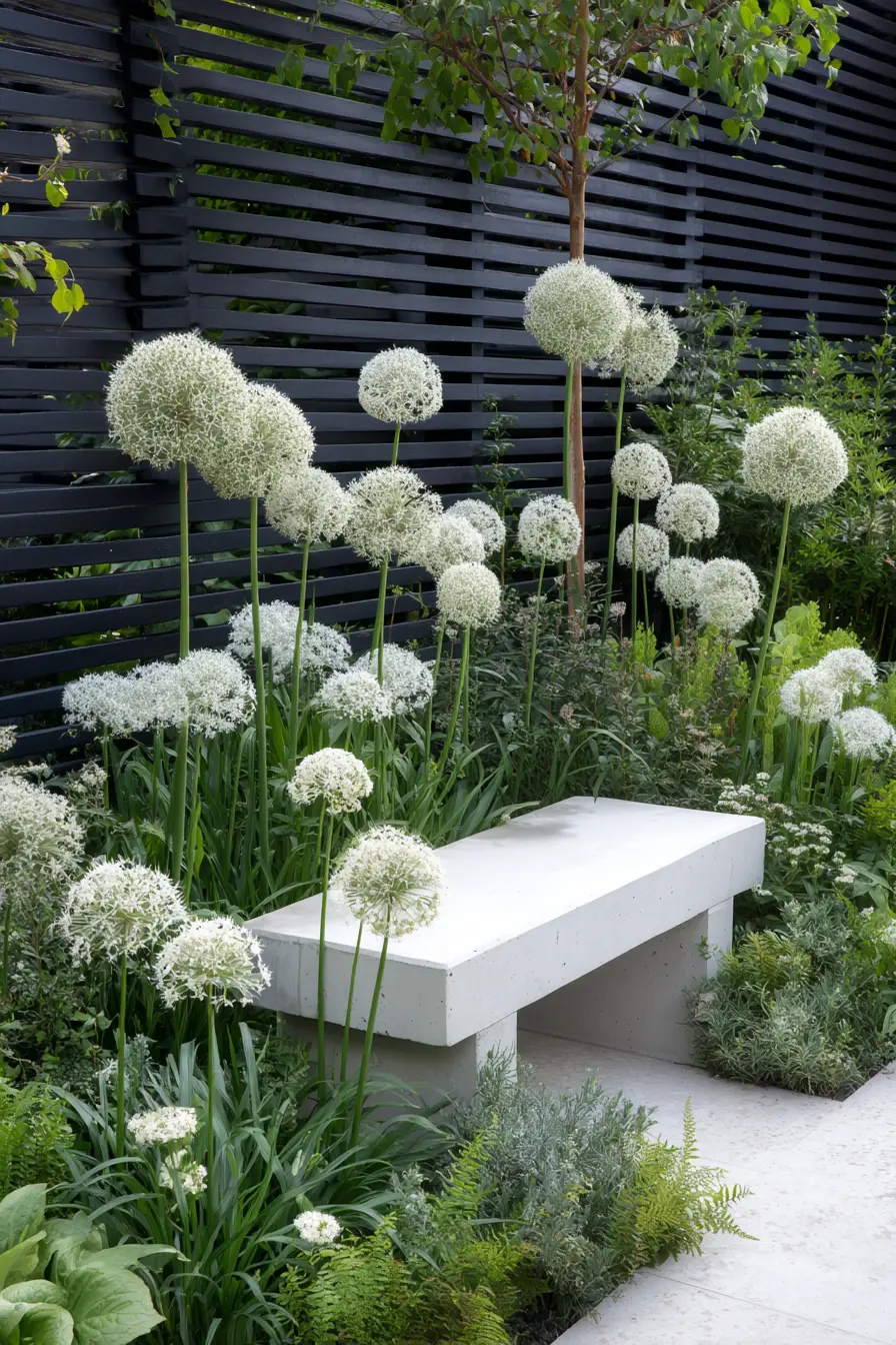 Modern Minimalist Garden with Alliums