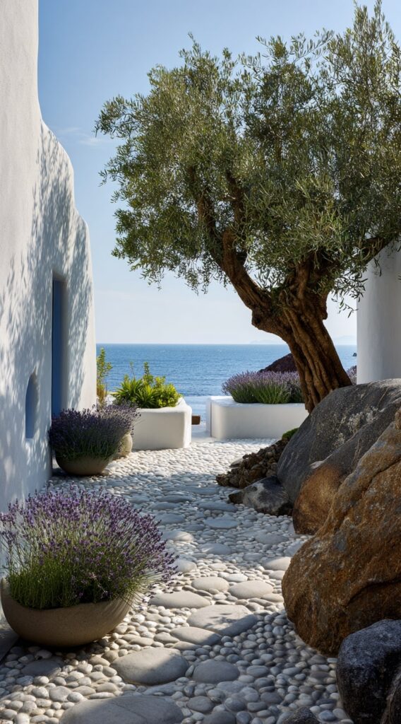 Seaside Garden with Pebble Path and Olive Tree