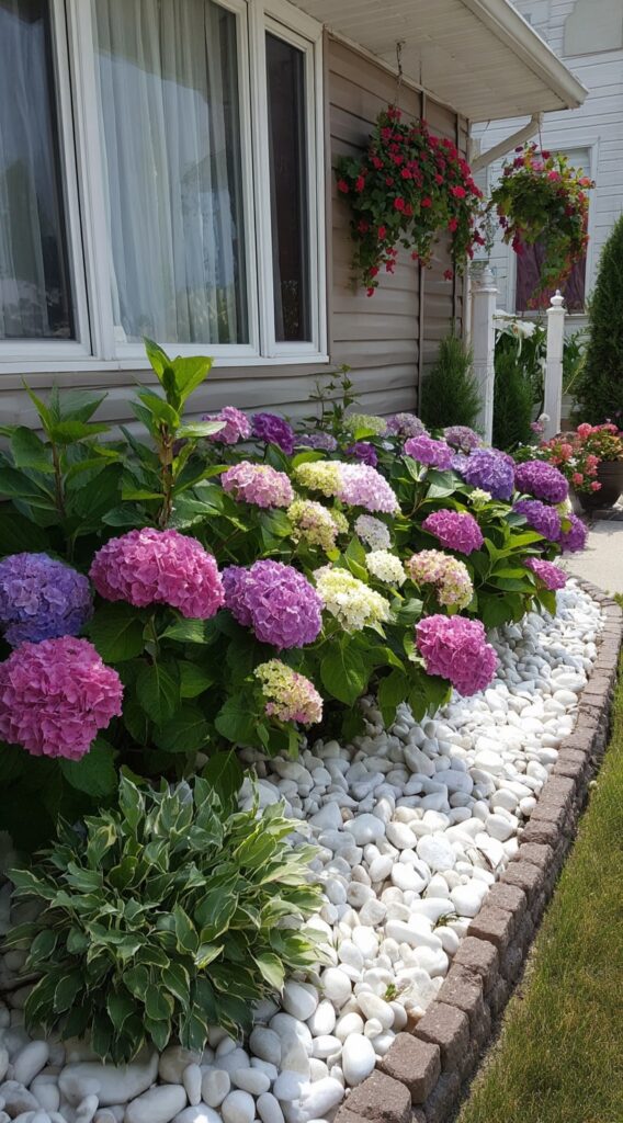 4. Colorful Hydrangea Front Border