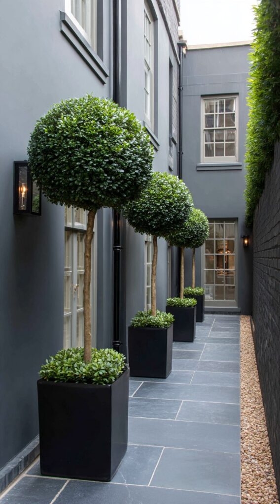 Modern Planters for Narrow Spaces